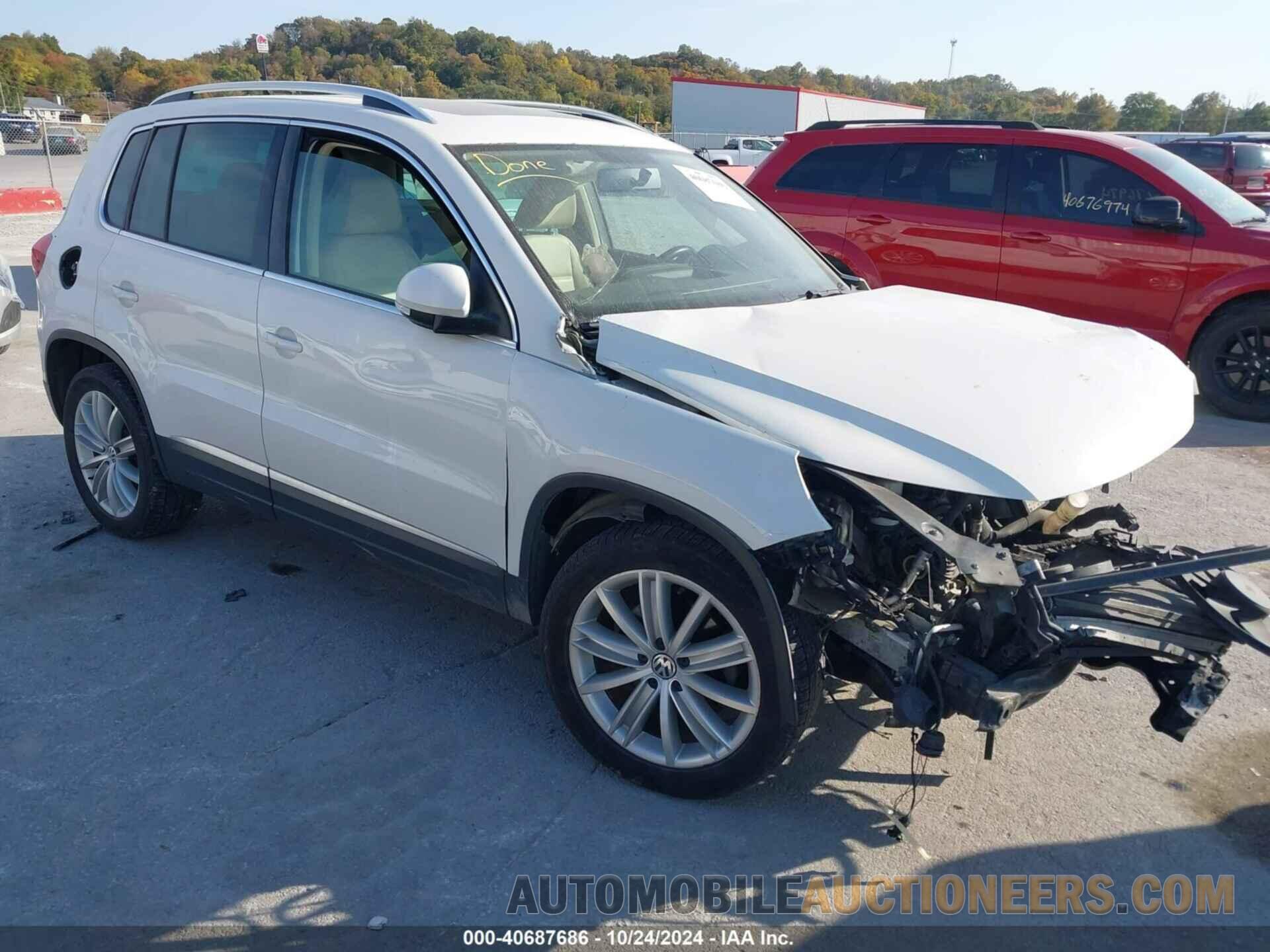 WVGBV7AX1DW507521 VOLKSWAGEN TIGUAN 2013