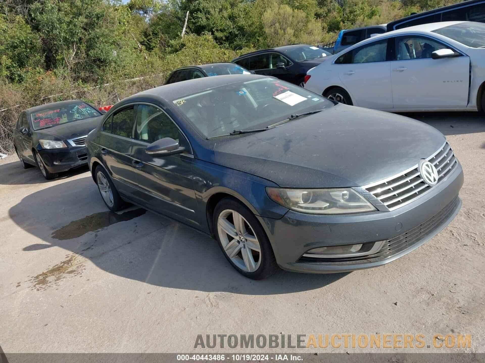 WVWBN7AN1DE504028 VOLKSWAGEN CC 2013